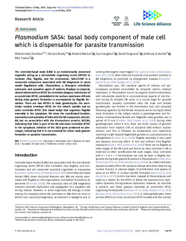Plasmodium SAS4: basal body component of male cell which is dispensable for parasite transmission Thumbnail