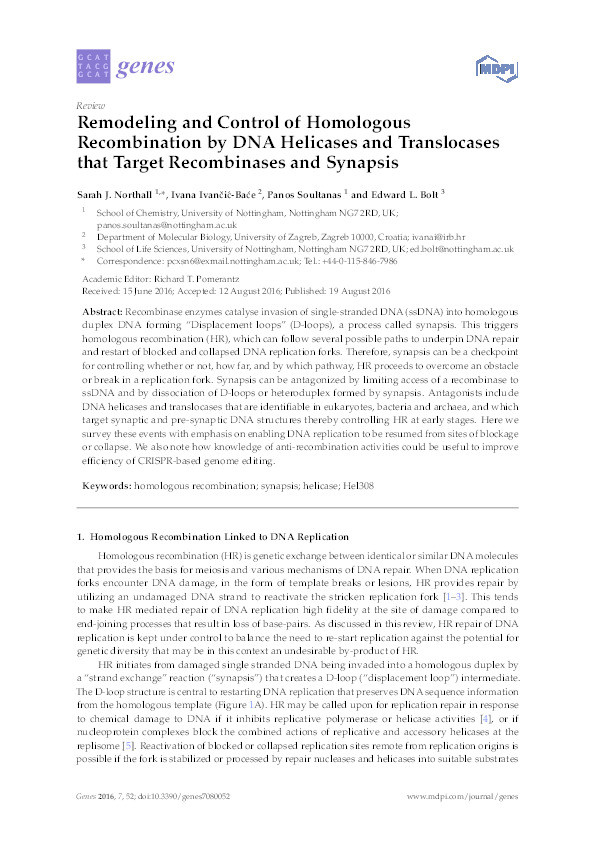 Remodeling and control of homologous recombination by DNA helicases and translocases that target recombinases and synapsis Thumbnail