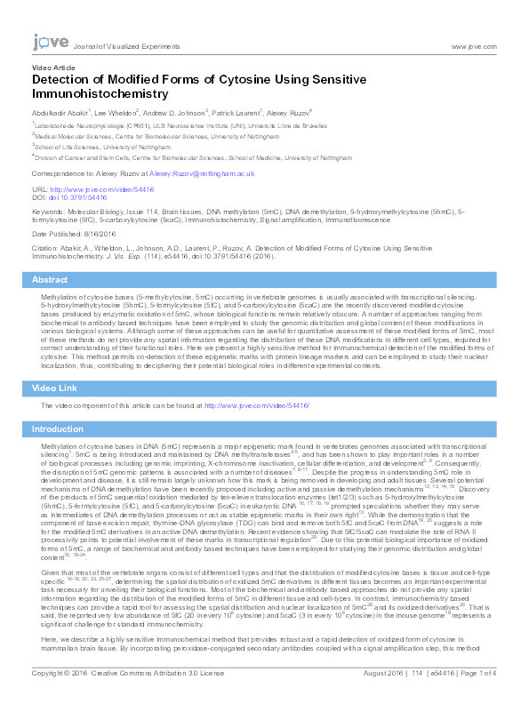 Detection of modified forms of cytosine using sensitive immunohistochemistry Thumbnail