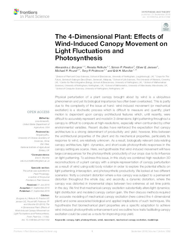 The 4-Dimensional Plant: Effects of Wind-Induced Canopy Movement on Light Fluctuations and Photosynthesis Thumbnail