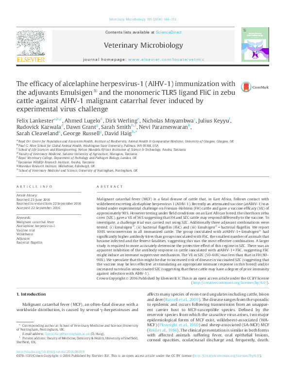 The efficacy of alcelaphine herpesvirus-1 (AlHV-1) immunization with the adjuvants Emulsigen® and the monomeric TLR5 ligand FliC in zebu cattle against AlHV-1 malignant catarrhal fever induced by experimental virus challenge Thumbnail