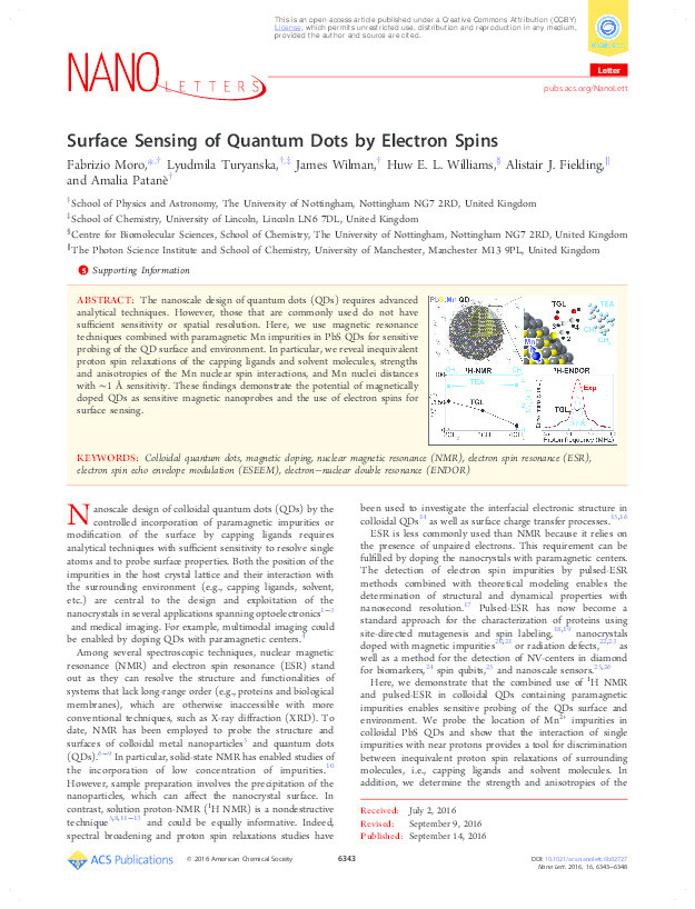 Surface sensing of quantum dots by electron spins Thumbnail