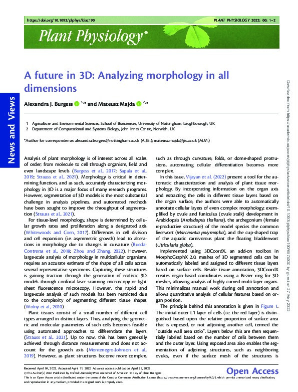 A future in 3D: Analyzing morphology in all dimensions Thumbnail