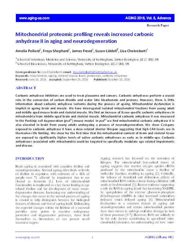 Mitochondrial proteomic profiling reveals increased carbonic anhydrase II in aging and neurodegeneration Thumbnail