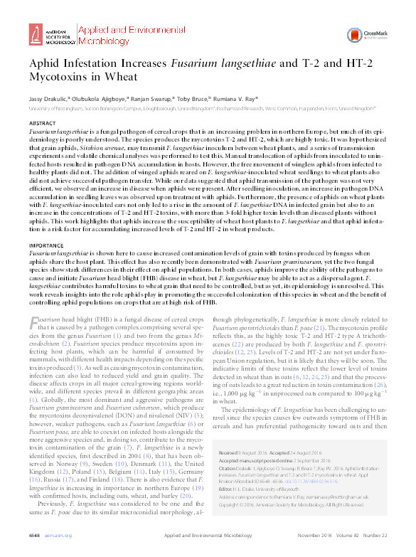 Aphid Infestation Increases Fusarium langsethiae and T-2 and HT-2 Mycotoxins in Wheat Thumbnail