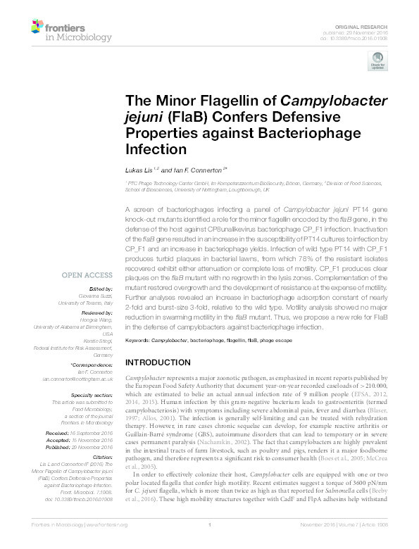 The minor flagellin of Campylobacter jejuni (FlaB) confers defensive properties against bacteriophage infection Thumbnail