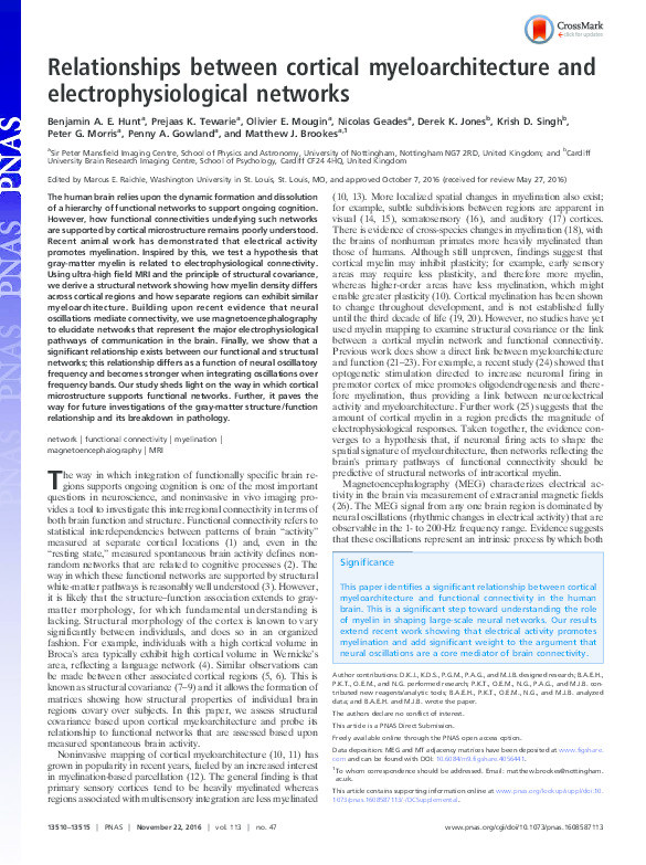 Relationships between cortical myeloarchitecture and electrophysiological networks Thumbnail