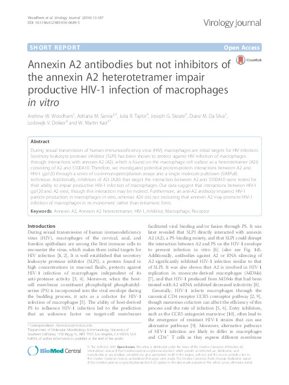 Annexin A2 antibodies but not inhibitors of the annexin A2 heterotetramer impair productive HIV-1 infection of macrophages in vitro Thumbnail