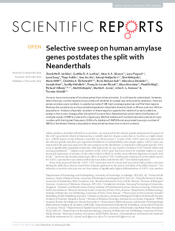 Selective sweep on human amylase genes postdates the split with Neanderthals Thumbnail