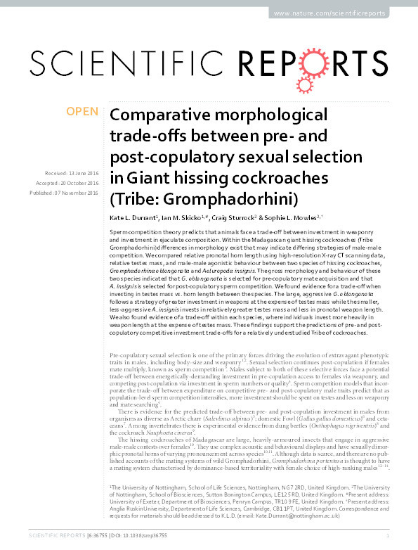 Comparative morphological trade-offs between pre- and post-copulatory sexual selection in Giant hissing cockroaches (Tribe: Gromphadorhini) Thumbnail