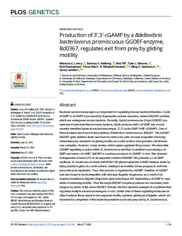 Production of 3′,3′-cGAMP by a Bdellovibrio bacteriovorus promiscuous GGDEF enzyme, Bd0367, regulates exit from prey by gliding motility Thumbnail
