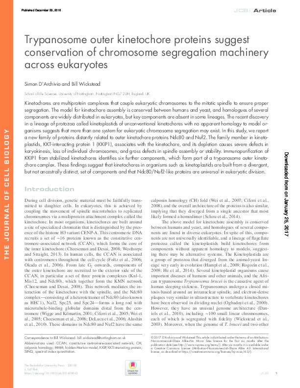 Trypanosome outer kinetochore proteins suggest conservation of chromosome segregation machinery across eukaryotes Thumbnail