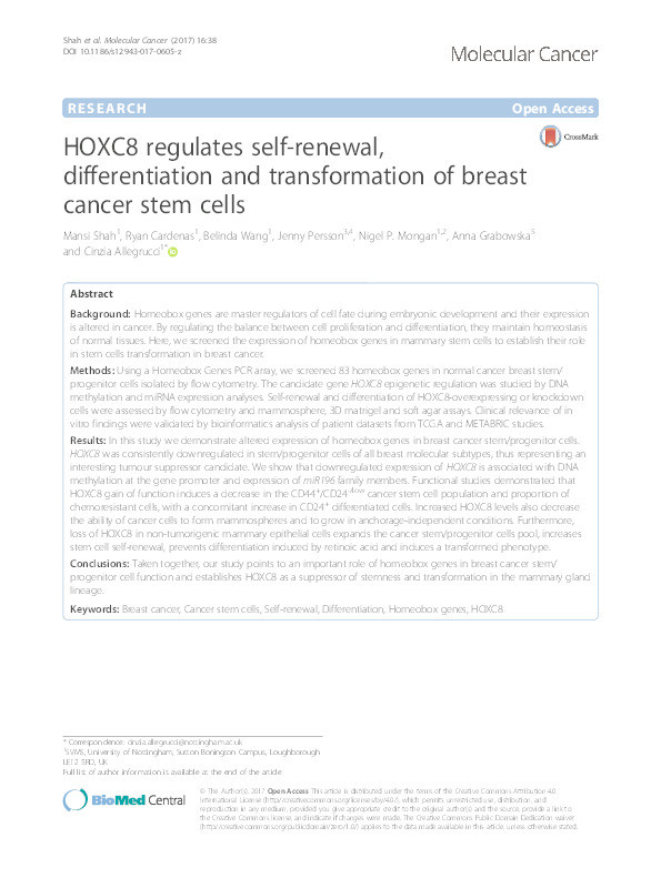 HOXC8 regulates self-renewal, differentiation and transformation of breast cancer stem cells Thumbnail