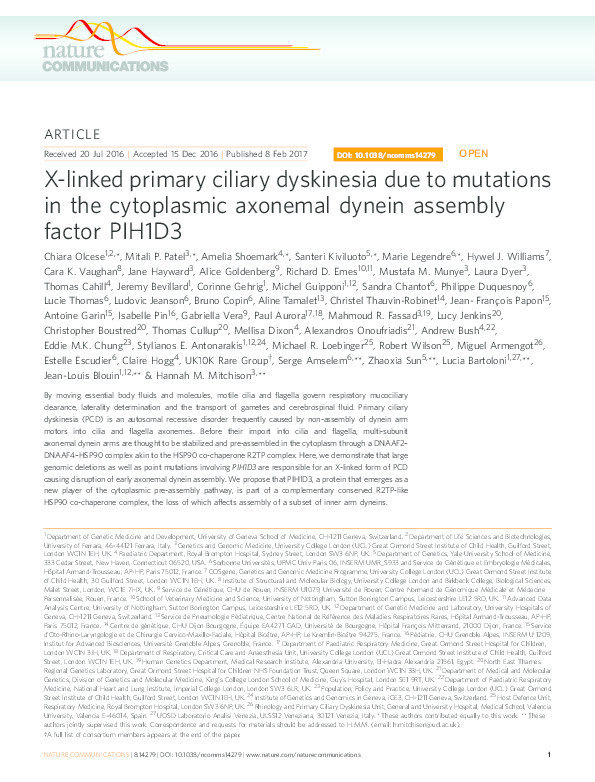 X-linked primary ciliary dyskinesia due to mutations in the cytoplasmic axonemal dynein assembly factor PIH1D3 Thumbnail