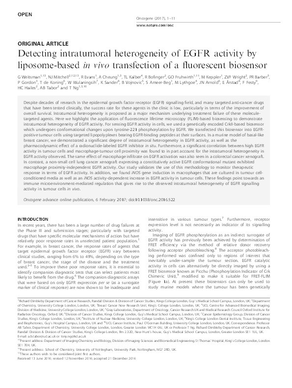 Detecting intratumoral heterogeneity of EGFR activity by liposome-based in vivo transfection of a fluorescent biosensor Thumbnail