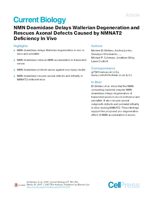 NMN deamidase delays Wallerian degeneration and rescues axonal defects caused by NMNAT2 deficiency in vivo Thumbnail