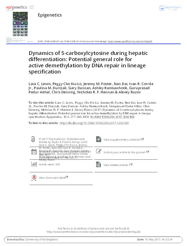 Dynamics of 5-carboxylcytosine during hepatic differentiation: potential general role for active demethylation by DNA repair in lineage specification Thumbnail