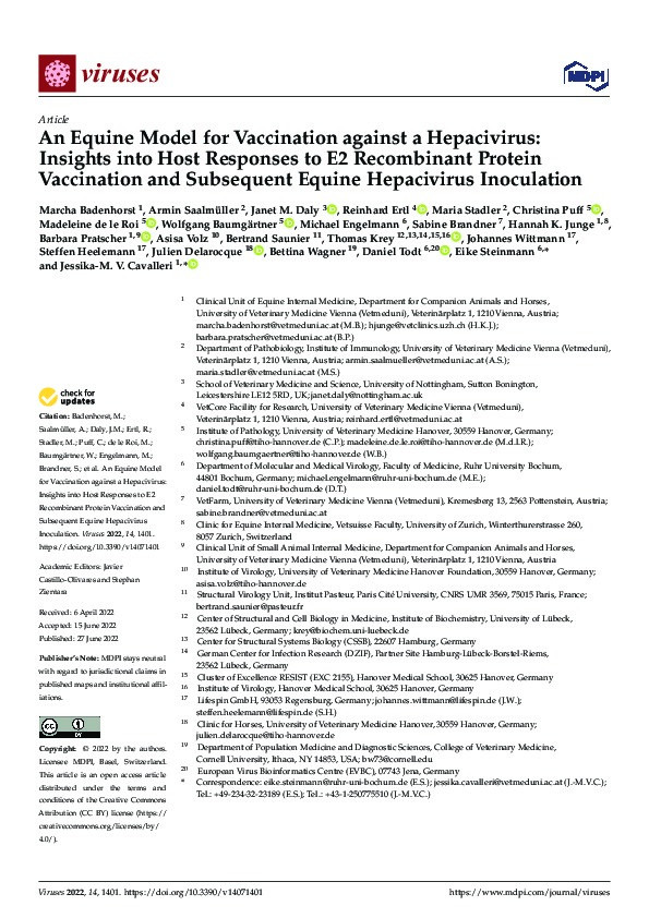 An Equine Model for Vaccination against a Hepacivirus: Insights into Host Responses to E2 Recombinant Protein Vaccination and Subsequent Equine Hepacivirus Inoculation Thumbnail