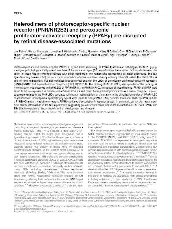 Heterodimers of photoreceptor-specific nuclear receptor (PNR/NR2E3) and peroxisome proliferator-activated receptor (PPAR?) are disrupted by retinal disease-associated mutations Thumbnail