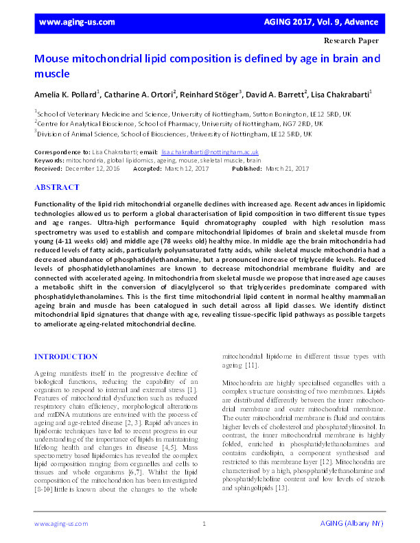 Mouse mitochondrial lipid composition is defined by age in brain and muscle Thumbnail