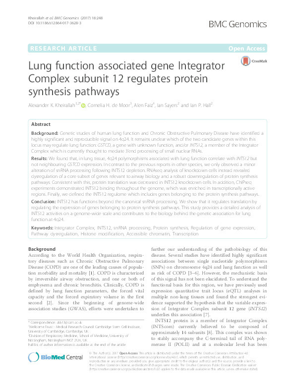 Lung function associated gene Integrator Complex subunit 12 regulates protein synthesis pathways Thumbnail