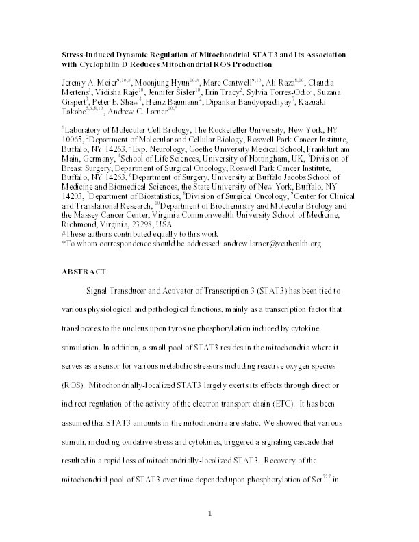 Stress-induced dynamic regulation of mitochondrial STAT3 and its association with cyclophilin D reduces mitochondrial ROS production Thumbnail