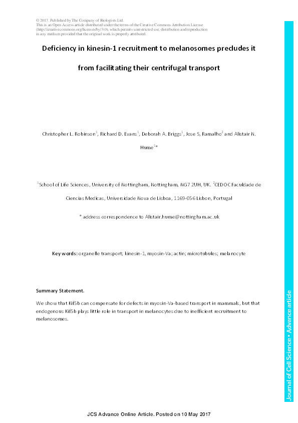 Inefficient recruitment of kinesin-1 to melanosomes precludes it from facilitating their transport Thumbnail
