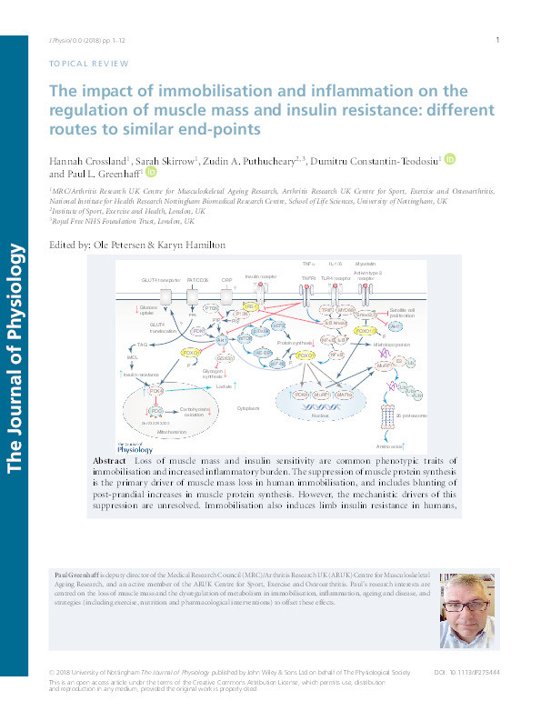 The impact of immobilisation and inflammation on the regulation of muscle mass and insulin resistance: different routes to similar end points Thumbnail