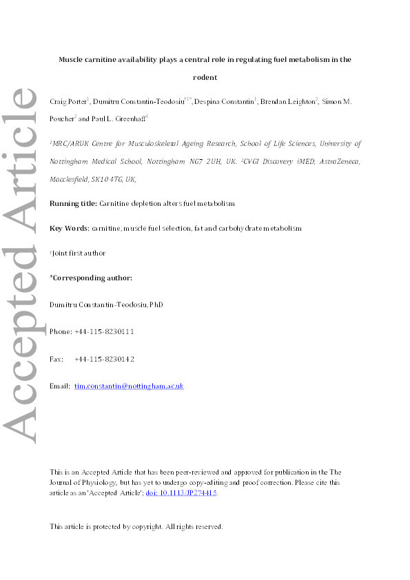 Muscle carnitine availability plays a central role in regulating fuel metabolism in the rodent Thumbnail