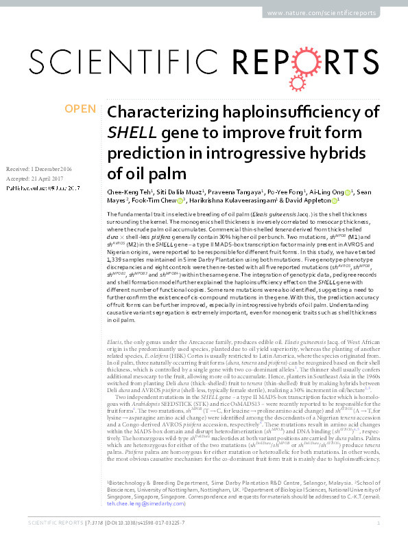 Characterizing haploinsufficiency of SHELL gene to improve fruit form prediction in introgressive hybrids of oil palm Thumbnail