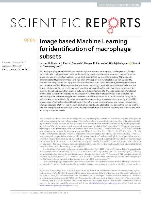 Image based machine learning for identification of macrophage subsets Thumbnail