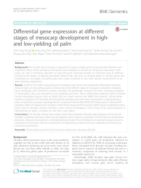 Differential gene expression at different stages of mesocarp development in high- and low-yielding oil palm Thumbnail