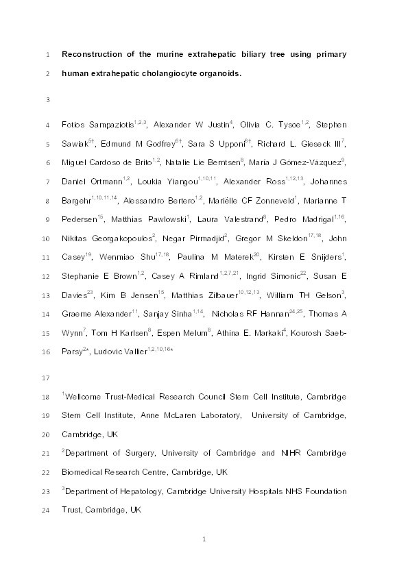 Reconstruction of the mouse extrahepatic biliary tree using primary human extrahepatic cholangiocyte organoids Thumbnail