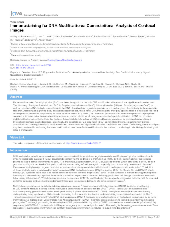 Immunostaining for DNA modifications: computational analysis of confocal images Thumbnail