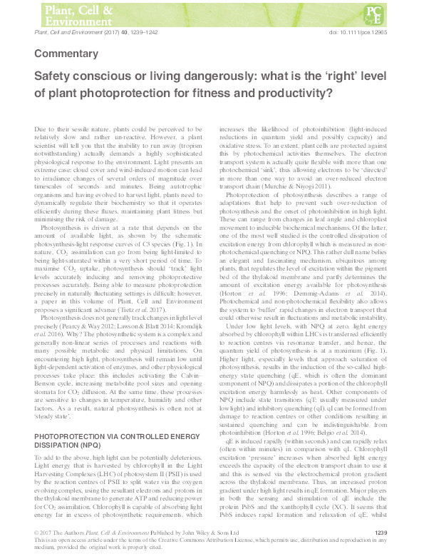 Safety conscious or living dangerously: what is the ‘right’ level of plant photoprotection for fitness and productivity? Thumbnail