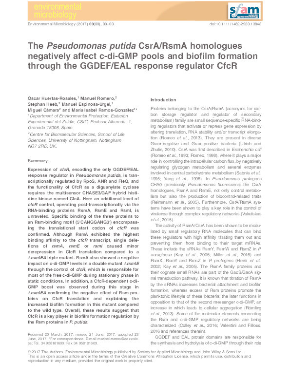 The Pseudomonas putida CsrA/RsmA homologues negatively affect c-di-GMP pools and biofilm formation through the GGDEF/EAL response regulator CfcR Thumbnail