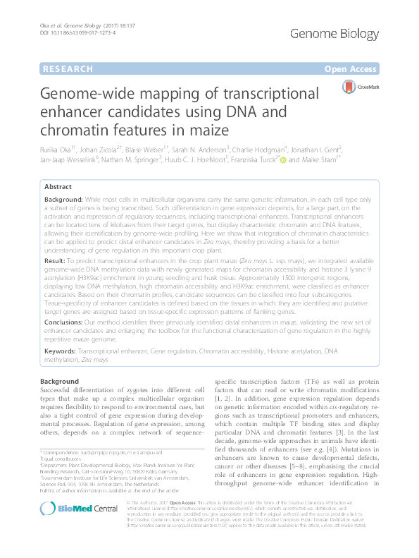 Genome-wide mapping of transcriptional enhancer candidates using DNA and chromatin features in maize Thumbnail