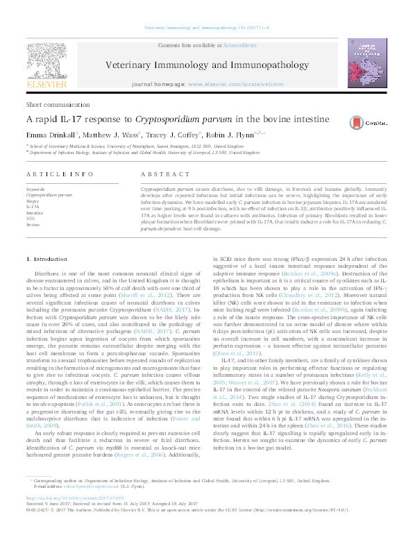 A rapid IL-17 response to Cryptosporidium parvum in the bovine intestine Thumbnail