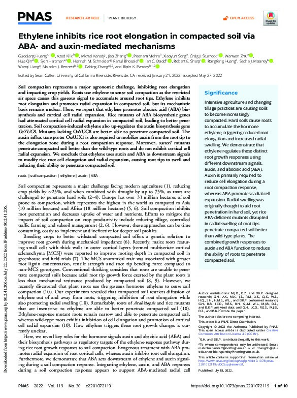 Ethylene inhibits rice root elongation in compacted soil via ABA- and auxin-mediated mechanisms Thumbnail