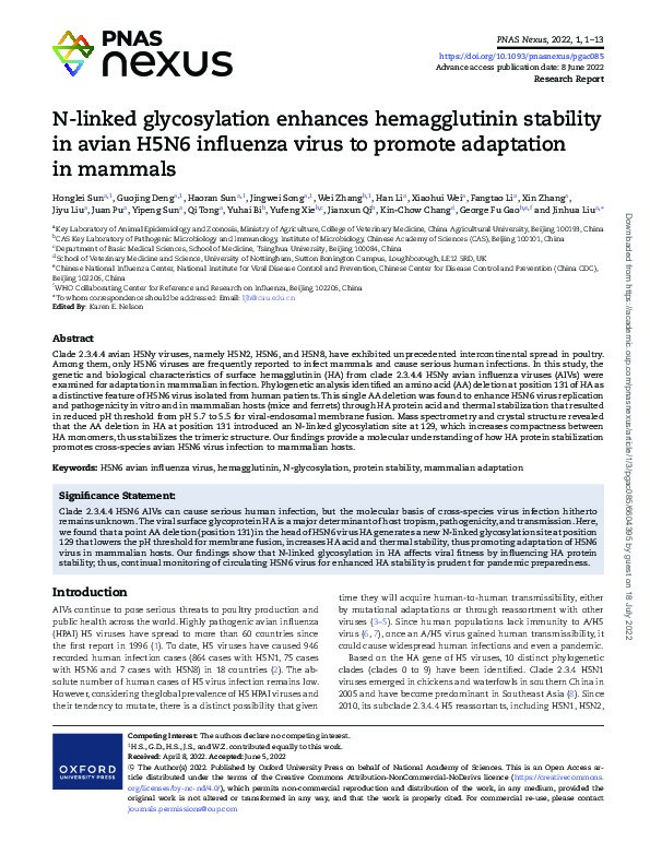 N-linked glycosylation enhances hemagglutinin stability in avian H5N6 influenza virus to promote adaptation in mammals. Thumbnail