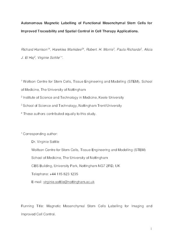 Autonomous magnetic labelling of functional mesenchymal stem cells for improved traceability and spatial control in cell therapy applications Thumbnail