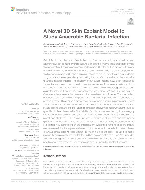 A novel 3D skin explant model to study anaerobic bacterial infection Thumbnail
