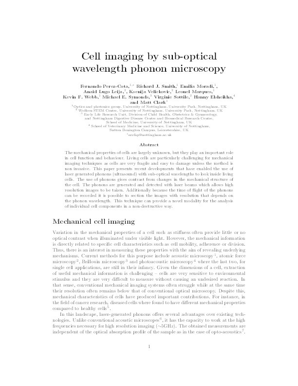 Cell imaging by phonon microscopy: sub-optical wavelength ultrasound for non-invasive imaging Thumbnail