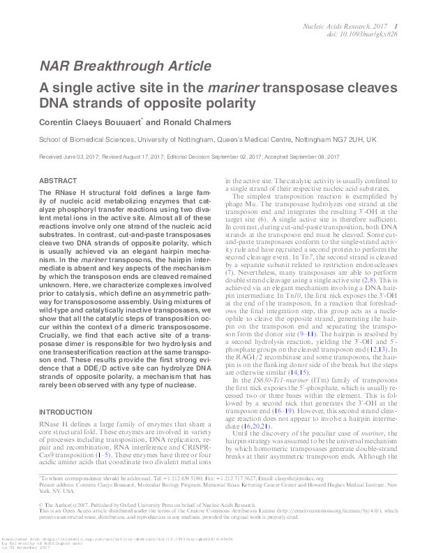 A single active site in the mariner transposase cleaves DNA strands of opposite polarity Thumbnail
