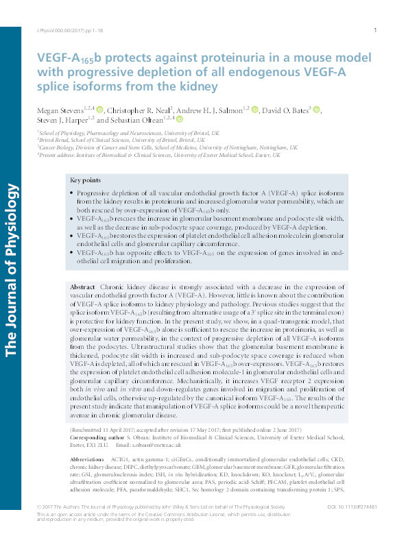 VEGF-A165b protects against proteinuria in a mouse model with progressive depletion of all endogenous VEGF-A splice isoforms from the kidney Thumbnail