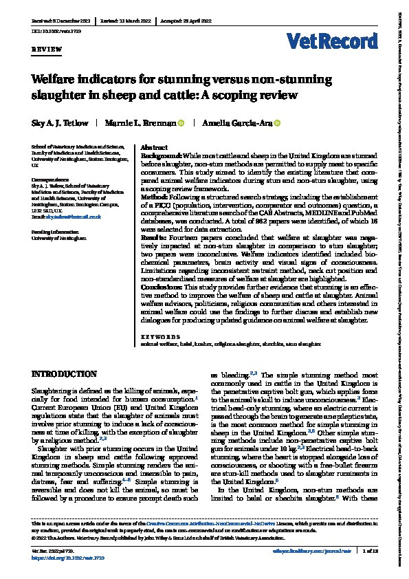 Welfare indicators for stunning versus non‐stunning slaughter in sheep and cattle: A scoping review Thumbnail