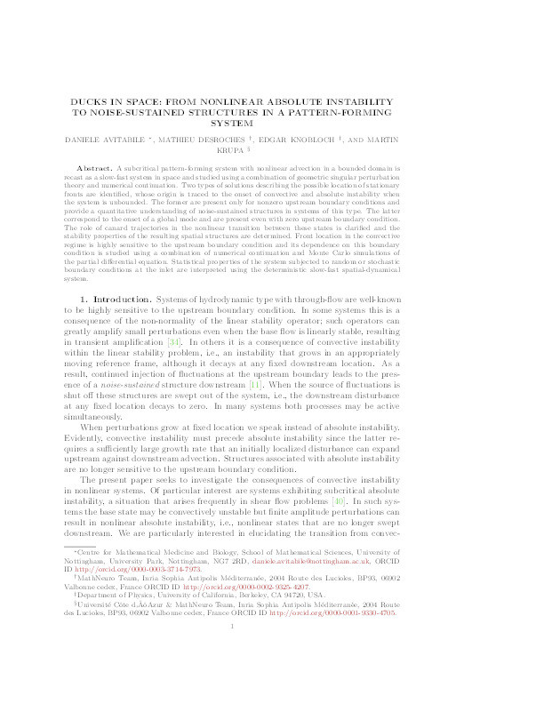 Ducks in space: from nonlinear absolute instability to noise-sustained structures in a pattern-forming system Thumbnail