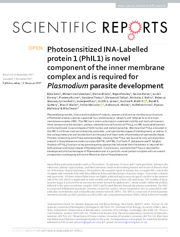 Photosensitized INA-Labelled protein 1 (PhIL1) is novel component of the inner membrane complex and is required for Plasmodium parasite development Thumbnail