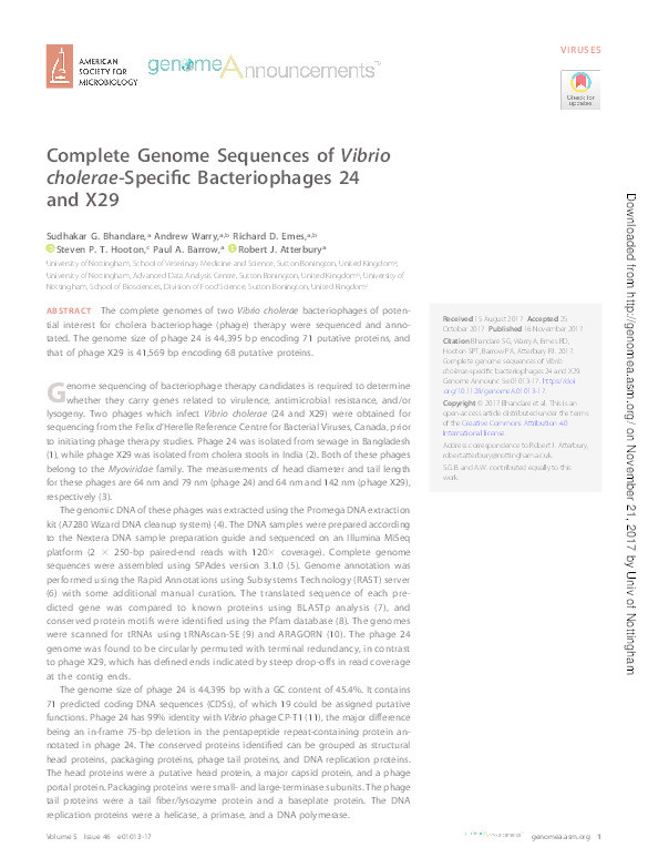 Complete Genome Sequences of                    Vibrio cholerae                    -Specific Bacteriophages 24 and X29 Thumbnail