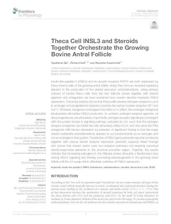 Theca cell INSL3 and steroids together orchestrate the growing bovine antral follicle Thumbnail